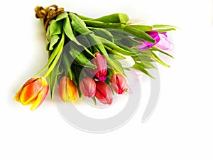 Spring flowers Tulip colorful flowers festive bouquet