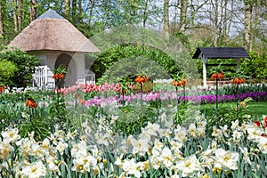 Spring Flowers in Tulip Garden Keukenhof, Lisse, Netherlands.