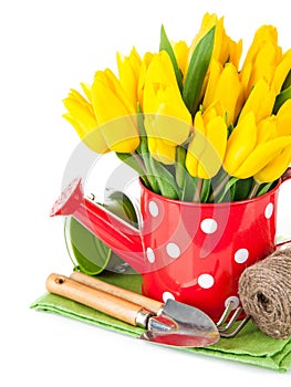 Spring flowers tulip with garden tools