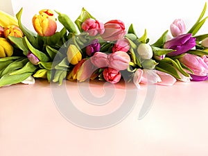 Spring flowers Tulip  hearts colorful festive  bouquet  on white  background copy space template