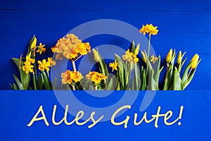 Spring Flowers, Tulip, Narcissus, Text Alles Gute Means Best Wishes