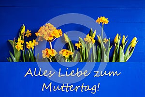 Spring Flowers, Tulip, Narcissus, Text Muttertag Means Happy Mothers Day