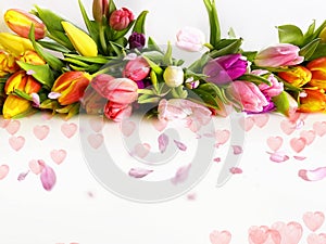 Spring flowers Tulip with  petal  colorful festive  bouquet  on white  background copy space template