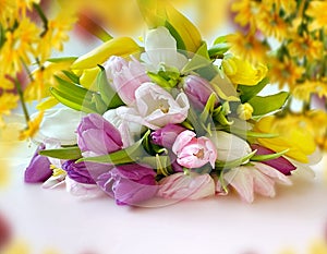 Spring flowers tulip pink green but and   yellow petal  floral background greetings card still life