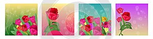 Spring flowers tulips on colorful background. Set templates for spring holidays, banners social network. Spring time. Vector