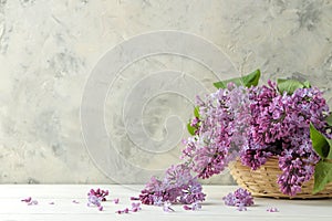 Spring flowers. Twigs of blooming lilac in a wicker basket on a light concrete background