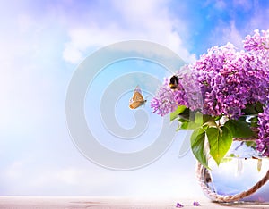 spring flowers in a vase and fly butterfly on sky background