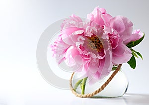 Spring flowers in vase on white background