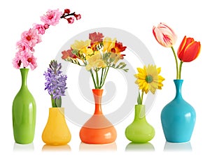 Primavera fiori vasi 