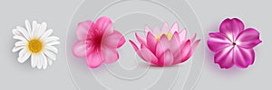 Spring flowers vector set design. Spring flowers collection like daisy, lotus, cherry blossom