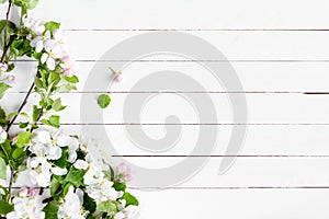 Primavera fiori su bianco di legno 