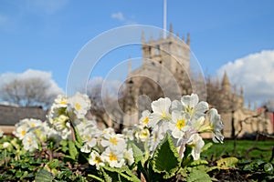 Spring flowers with Wigan Parish Church background. photo
