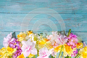 Spring flowers wooden background