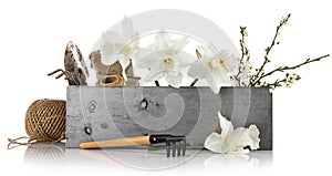 Spring flowers in wooden box with garden