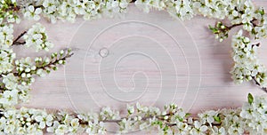 Spring flowers on wooden table background. Plum blossom. Top view