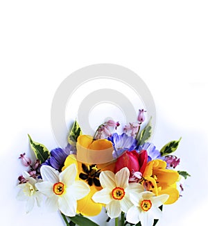 Spring flowers-yellow tulips, lilac chrysanthemums and white daffodils on a white background.