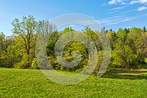 Spring Foliage along the Blue Ridge Parkway near Roanoke, Virginia