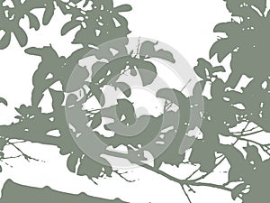 Spring Foliage Silhouette Vector Background Pattern