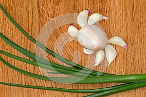 Spring food, vegetable background: mushroom, garlic, green onion.