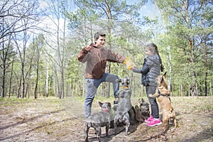 In the spring   in the forest  a girl and a boy train three French Bulldog dogs