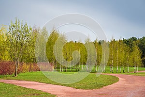 Spring forest and green grass and dirt path against the background of beautiful clouds with blue skies. Spring natural landscape.