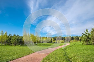 Spring forest and green grass and dirt path against the background of beautiful clouds with blue skies. Spring natural landscape.