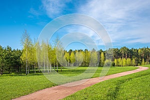 Spring forest and green grass and dirt path against the background of beautiful clouds with blue skies. Spring natural landscape.