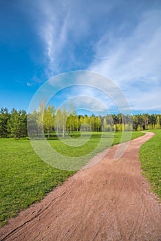 Spring forest and green grass and dirt path against the background of beautiful clouds with blue skies. Spring natural landscape.