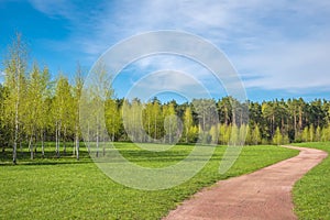 Spring forest and green grass and dirt path against the background of beautiful clouds with blue skies. Spring natural landscape.