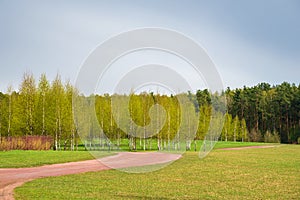 Spring forest and green grass and dirt path against the background of beautiful clouds with blue skies. Spring natural landscape.