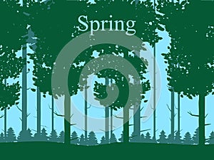 Spring forest landscape, green foliage, April, May month