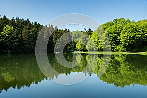 Forest landscape reflecting on water surface.