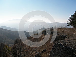 Spring forest in the morning in the Crimean mountains