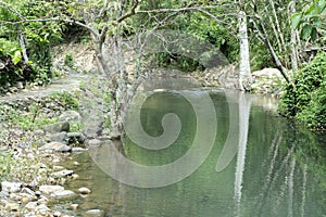 Spring forest nature landscape, beautiful spring stream, river rocks in mountain forest