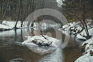A spring forest river