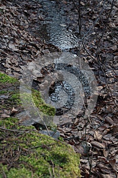 Spring in the forest. Water infrastructure in the middle of the forest.