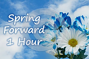 Spring forward 1 hour daylight savings time message with blue daisies