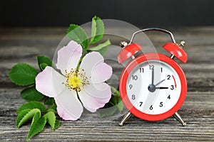 Spring forward. Daylight saving time