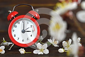 Spring forward. Daylight Saving Time