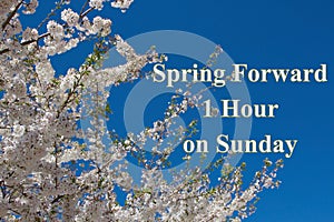 Spring Forward message