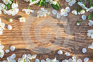 Spring frame with cherry flowers