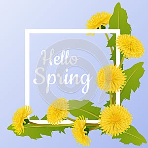 Spring frame with dandelion flower and leaf