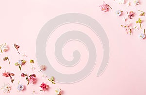 Spring frame of small flowers and daisy, floral arrangement on pink background