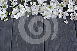 Spring frame for text. Banner design for spring promotion. White cherry flowers on a wooden background with a place for an