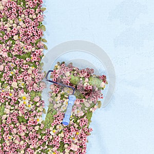 Spring fresh flowers background painting the pastel blue wall with a paint roller. Paint it floral