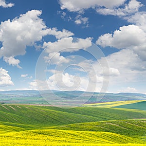 Spring fresh landscape of colorful fields and beautiful hills wi