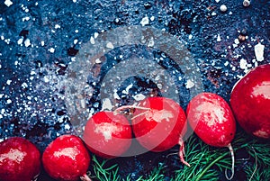 Spring fresh radishes frame with salt on dark rustic background