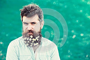 Spring freshness concept. Hipster on smiling face, green grass background, copy space. Guy with daisy or chamomile