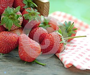 Spring fruits, strawberries in an aluminum bucket on a vintage wooden table