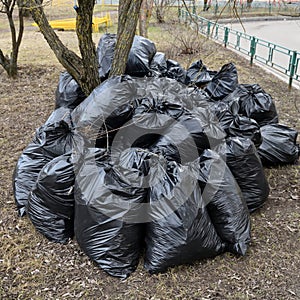 Spring garbage and last year's leaves in black bags near the tree